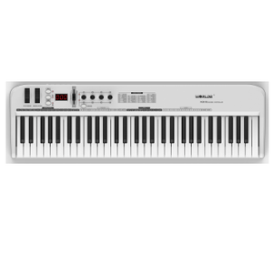 KS61B (Controlador MIDI) Sintetizador Plastic Music PANDAMINIc (Controlador MIDI) - Product Image 2