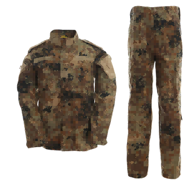 ACU-Germany desert