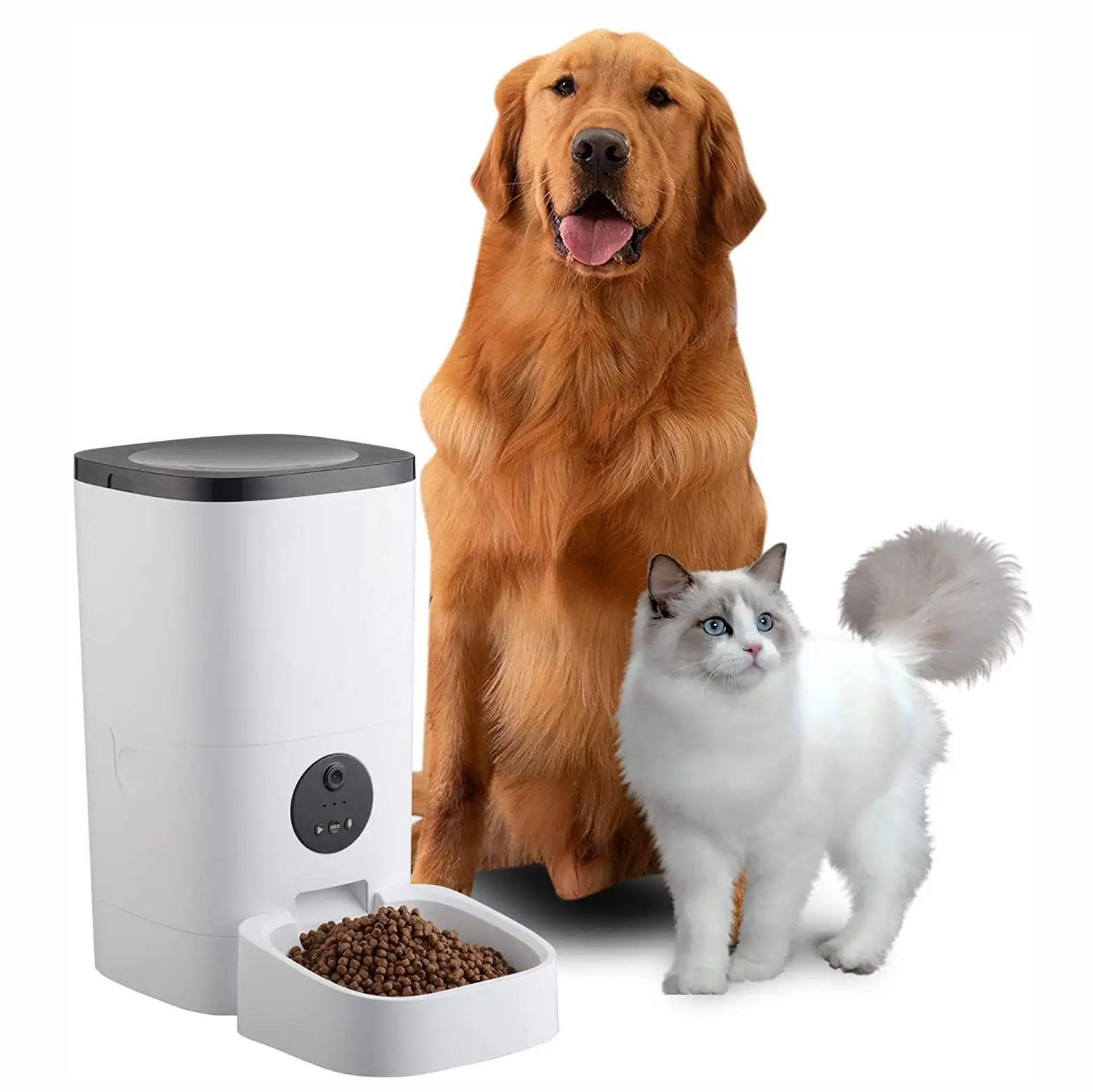 Alimentador de mascotas automático, modelo básico, capacidad de actualización de 4L y 6L, compatible con grabación de voz 10s