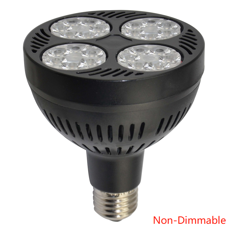 Noir (Non-Dimmable)