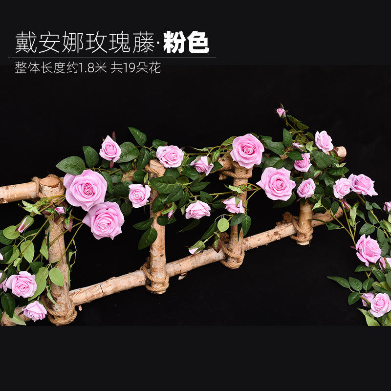 Diana grande rose rose