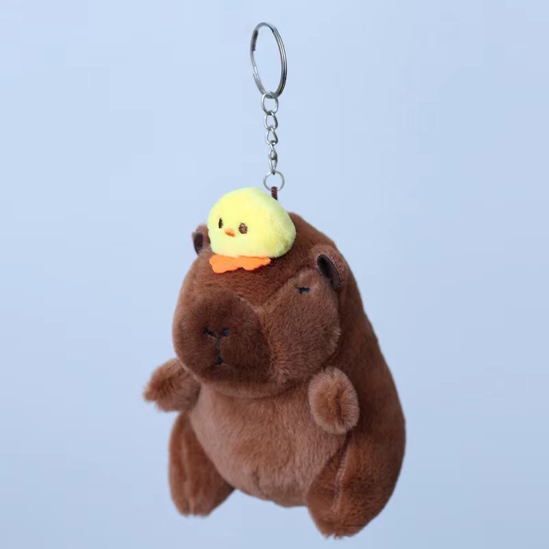 Pollito