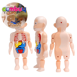 Çocuk 4D insan organları bebek kiti DIY montaj bilim seti çocuklar için öğrenme için çıkarılabilir oyuncak plastik aydınlanma modeli - Product Image 3