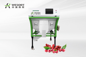 Wesort 2025 clasificador de color de granos de café Wesort máquina clasificadora de granos de cacao Wesort café cereza clasificador de color todo de China - Product Image 2