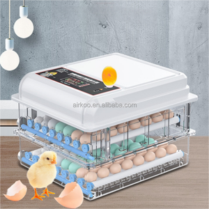 Çift güç Mini otomatik yumurta kuluçka kullanılan Oeuf Couveuse dijital özellikleri ile - Product Image 1