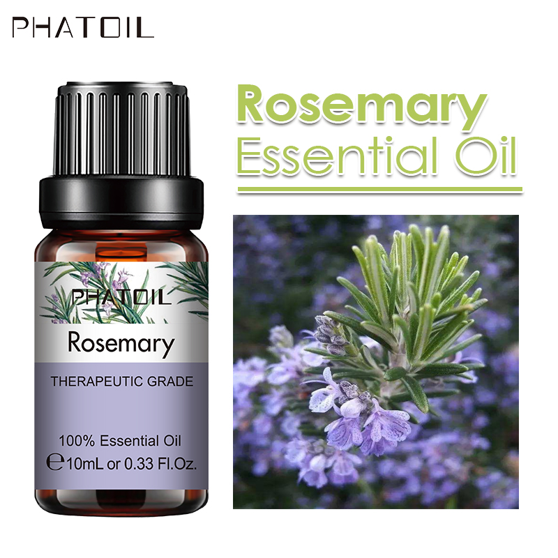 SY5522-17Rosemary