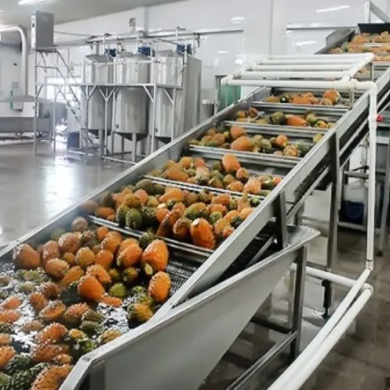 Línea de producción de llenado de zumo de fruta automática, máquina de procesamiento de pulpa concentrada de zumo de piña