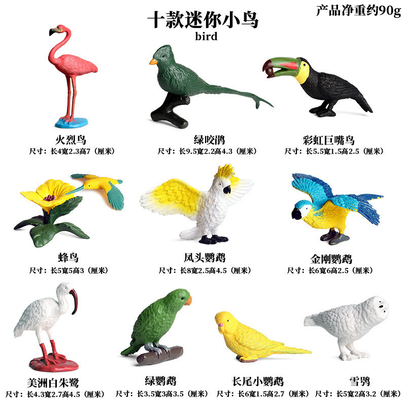 Colorido juego de 10 piezas Mini Bird M4131