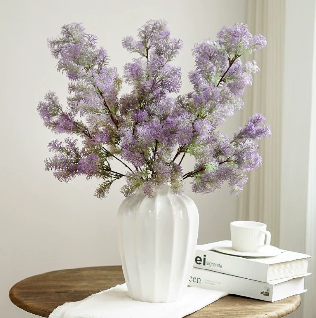 Viola