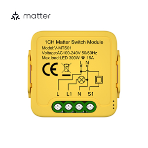 <strong>Customized</strong> Matter Wifi Switch Homekit Relay Module Smart Power Breaker Electric Shenzhen Universal APP <strong>Control</strong> 10A - Product Image 1