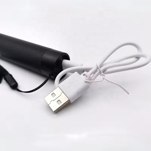 2024 puntatore Laser verde a lungo raggio ad alta potenza torcia elettrica ricaricabile per USB con stella testa di messa a fuoco regolabile penna laser - Product Image 4