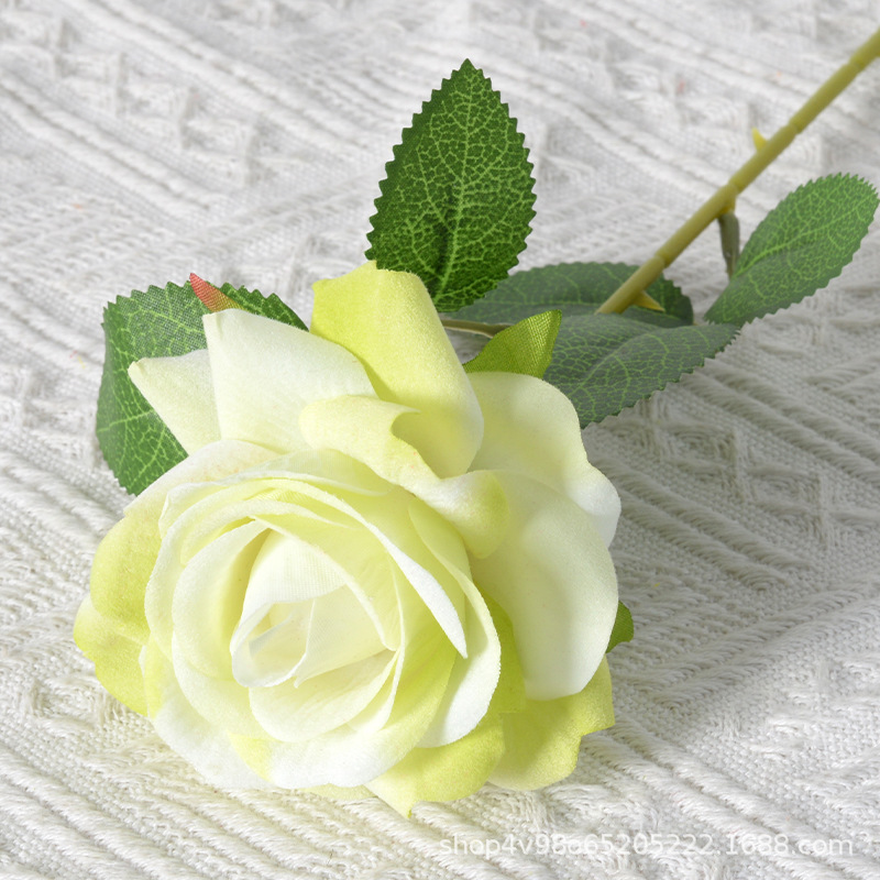 Green Silk cloth