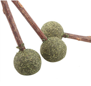 Catnip Lollipop Hairball Remover para dientes de gato 1 Polygonum natural CAT snack - Product Image 1