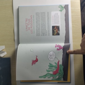 儿童儿童Abc学习写作英语练习追踪书学前手写练习书法语 - Product Image 1