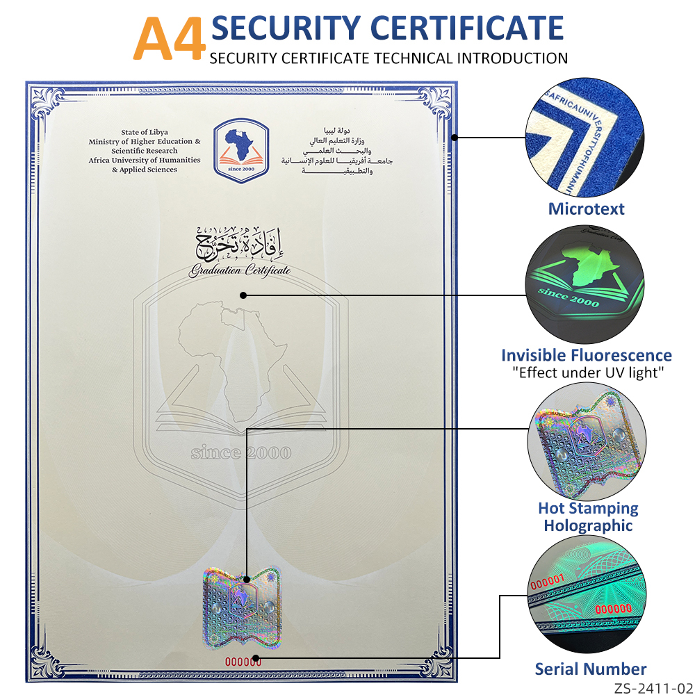 Template: ZS-2411-02