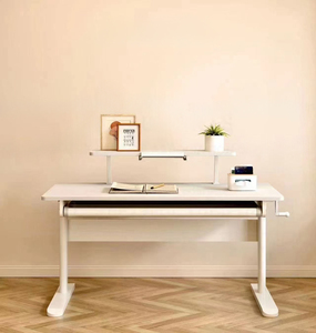 Ofis mobilyaları ergonomik yükseklik ayarlanabilir ofis kaldırma bilgisayar masası masa raf çekmece öğrenme için - Product Image 5