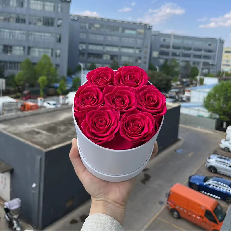 25*25*18cm rosa