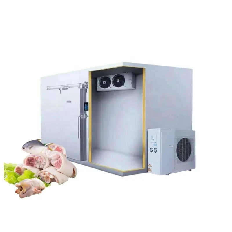 Cámara fría, cámara Frigorifica, Walk in Freezers Cooler Congelador industrial negativo cámara frigorífica para verduras