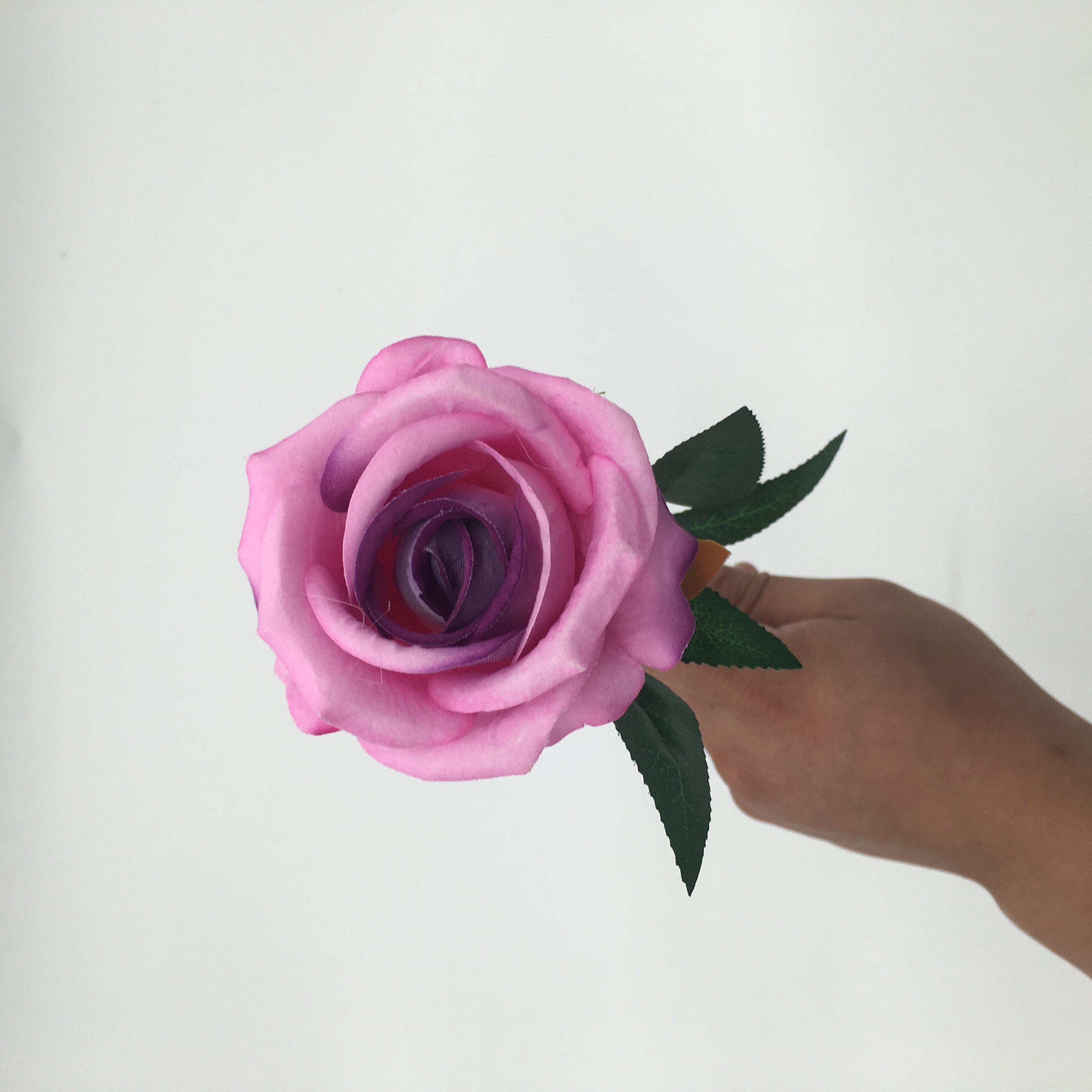 Purple 1