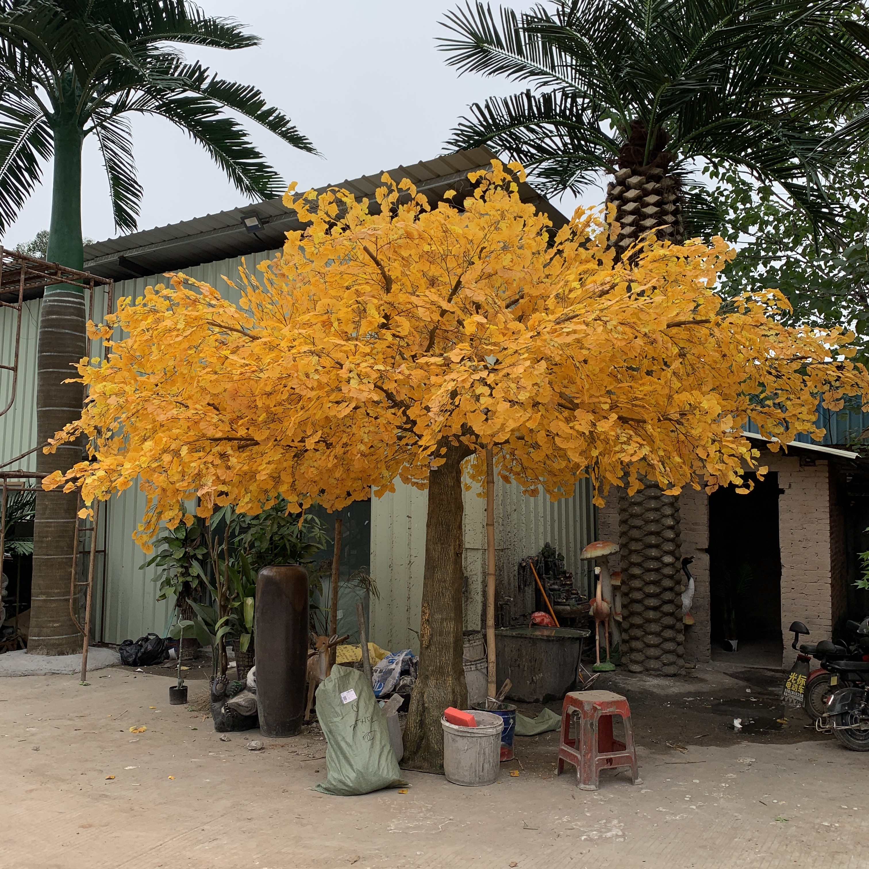 Dorado