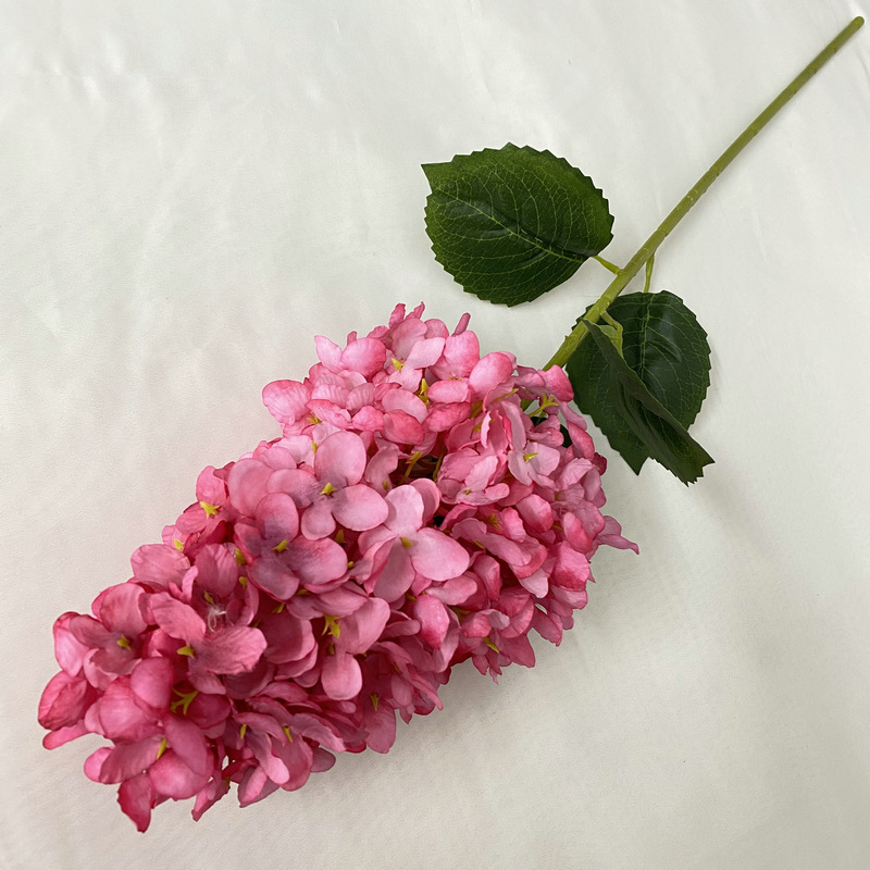 12# Ortensia conica rosa rosa