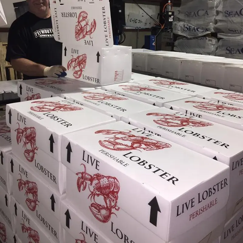 Caja de envío de mariscos de PP corrugado hueco de plástico personalizado al por mayor de fábrica