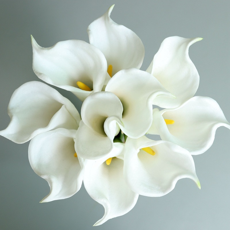 # 1 arum blanc - tige unique