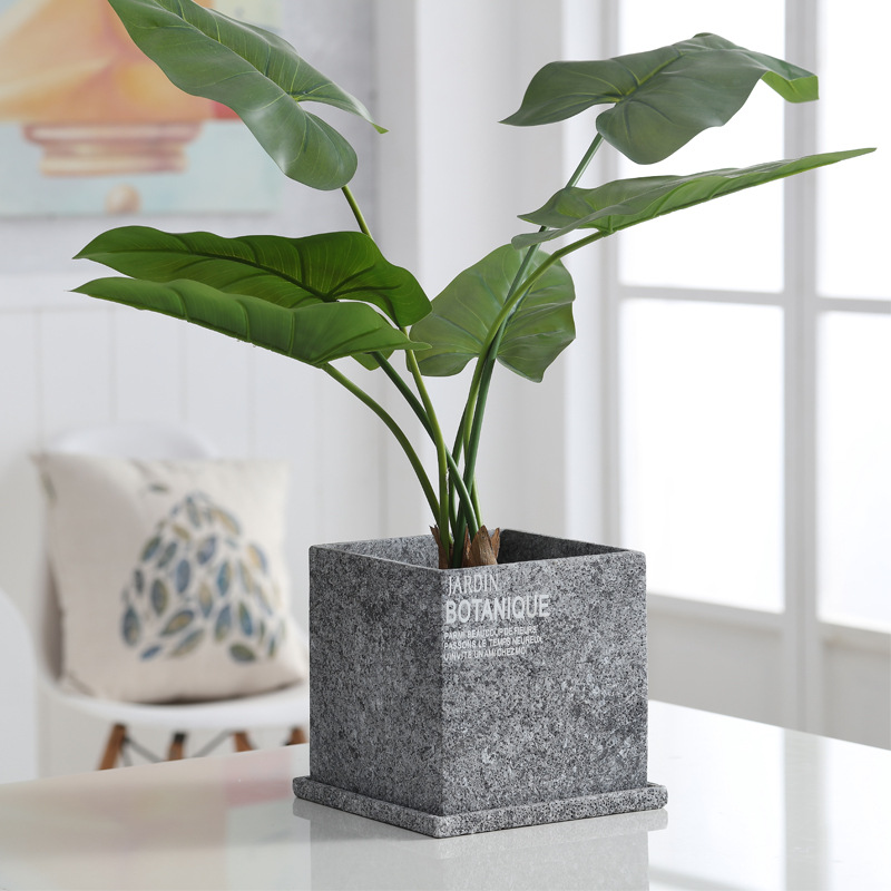 Couleur pierre perforée avec plateau