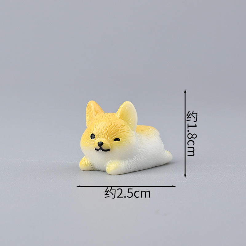 Corgi uni blanc et jaune