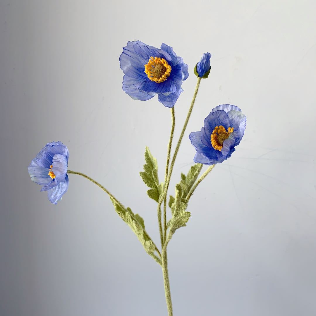 Bleu