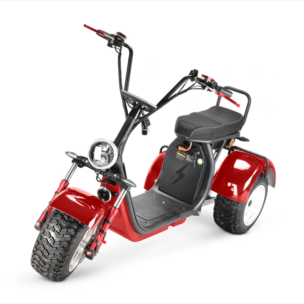 Fabriek Aanpassen Dual Motor Eec Coc Elektrische Driewieler E Trike 60V 20ah Drie Wiel Citycoco Elektrische Scooter Voor Volwassenen