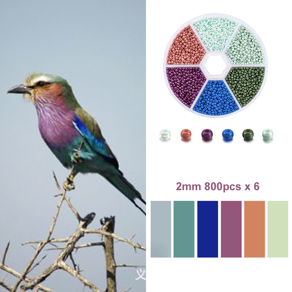 Rainbow Bird