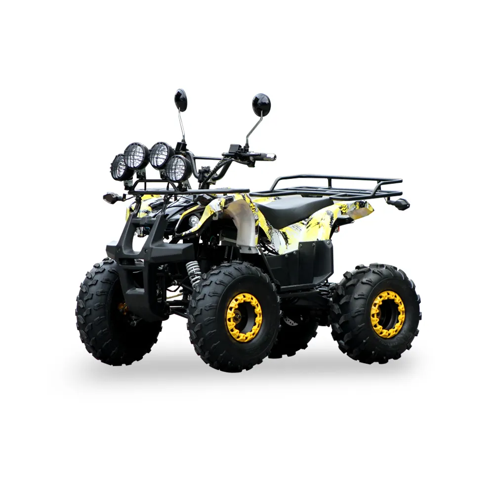 大人の子供用ATV ATV48V1000W電気工場カスタマイズ可能