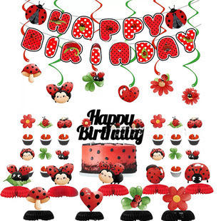 06 ladybug theme set