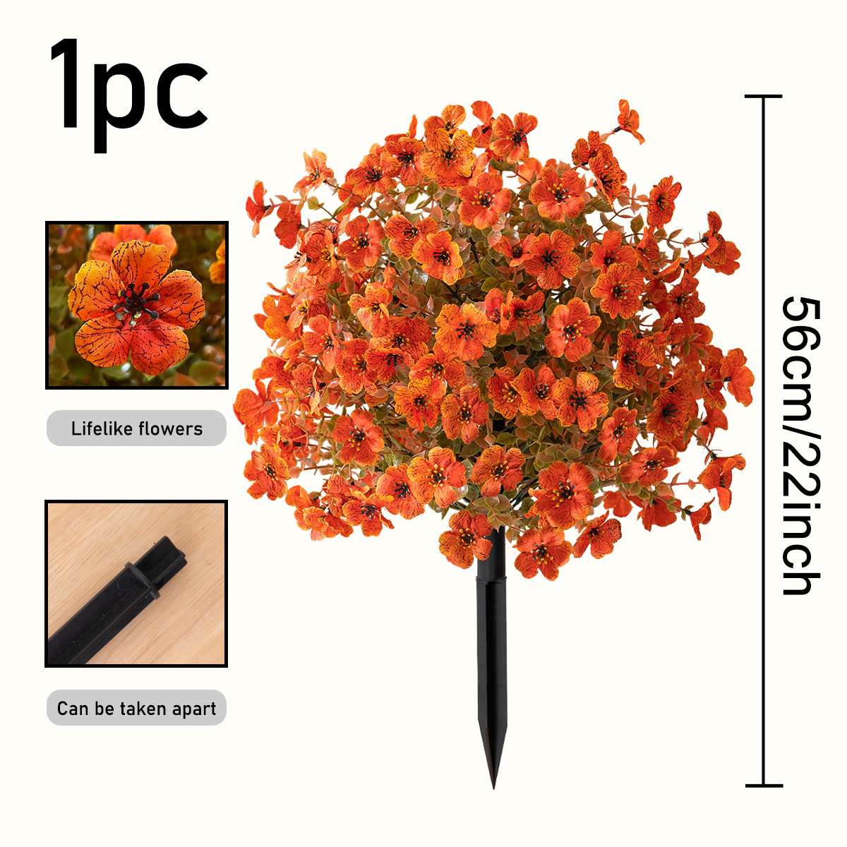 Violet Ground Bush, Orange