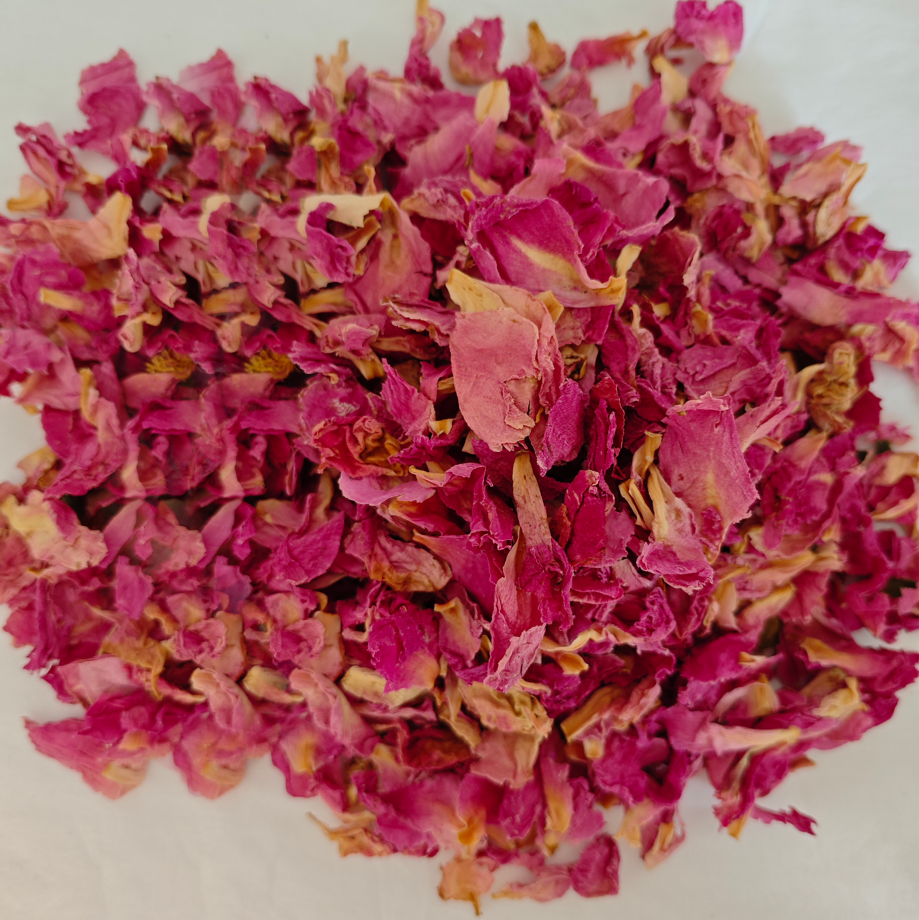 Fleur de pivoine