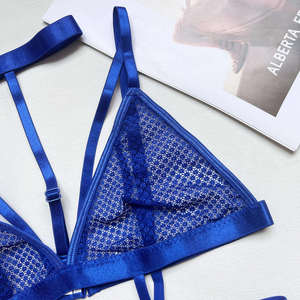 Women's Sexy <strong>Transparent</strong> <strong>G</strong>-<strong>String</strong> Lingerie Erotic Mesh See-Through Bra and Hot-<strong>Transparent</strong> Garter Belt ODM Supply