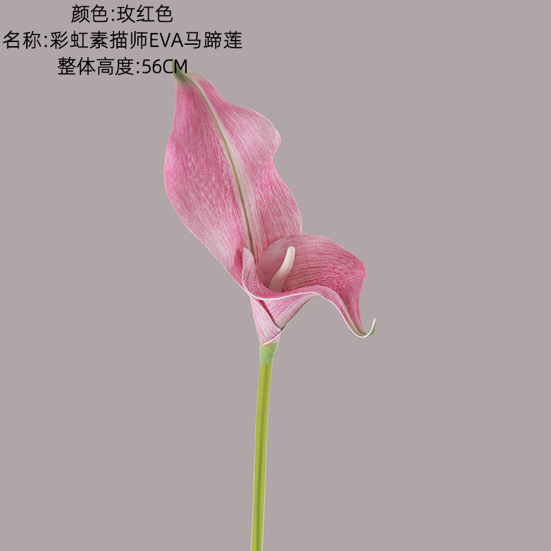 Rose red