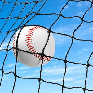 Wholesale Plastic <strong>Nets</strong> and Fence Divider <strong>Net</strong> for Playgrounds Custom Cutting Processing Available - Product Image 2