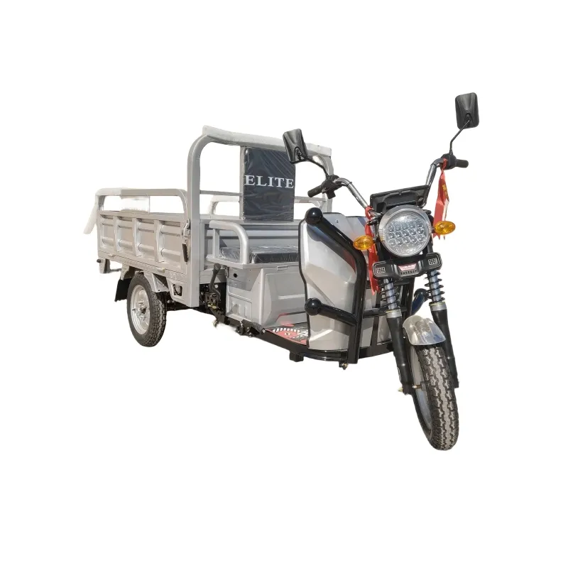 Electric Tricycles 3 Wheel Electric Cargo Bike Minitype for Cargo Solar Adult Ant Motorcycle Cargo 2 Ton Open Customized Size