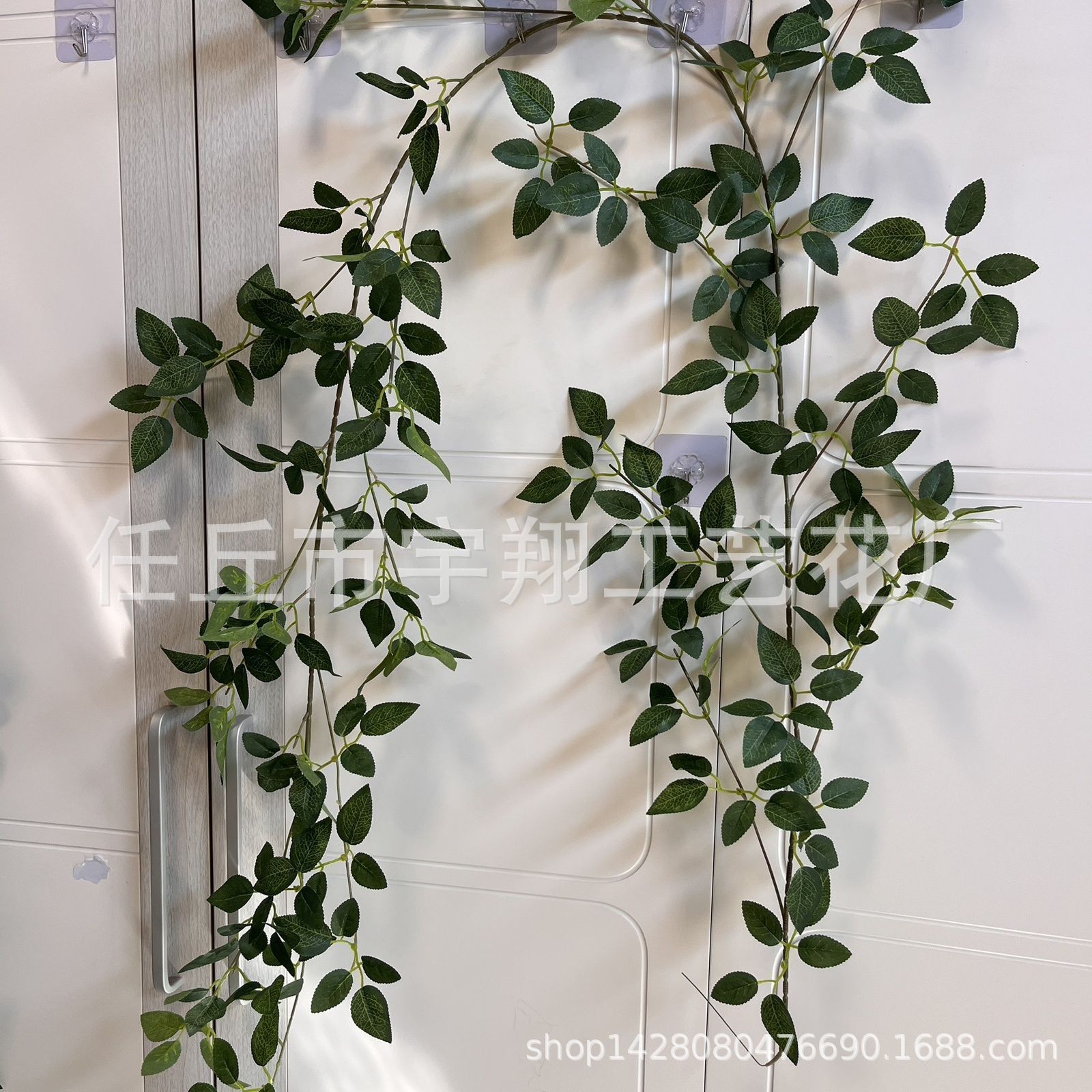 Pure rose leaf vines