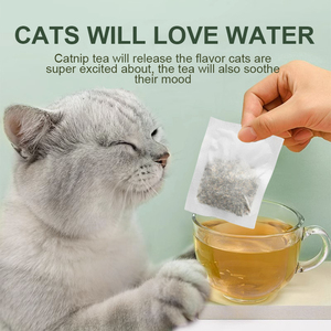 Té de hierba gatera seca Natural de alta calidad para gatos Atractivo beber más agua Catnip Tea Bag Catnip para gato - Product Image 2