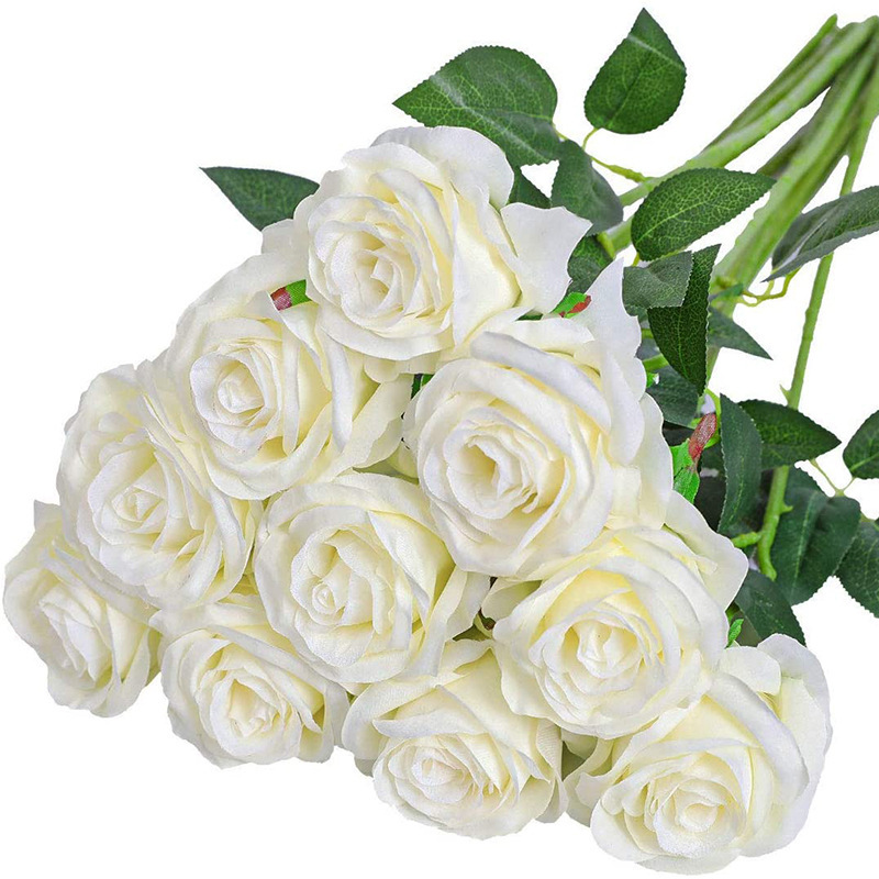 #3 blancs