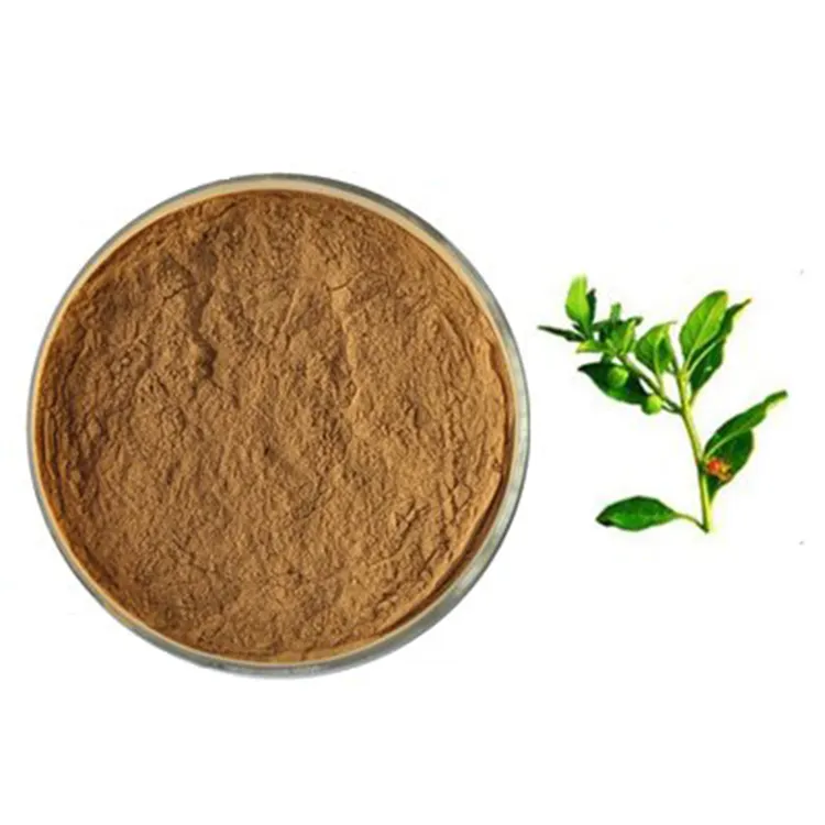 100% натуральный растительный витанолид 20% порошок экстракта корня Ashwagandha