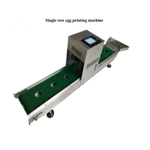 Più piccolo uovo di stampa e codifica prezzo della macchina - Product Image 5