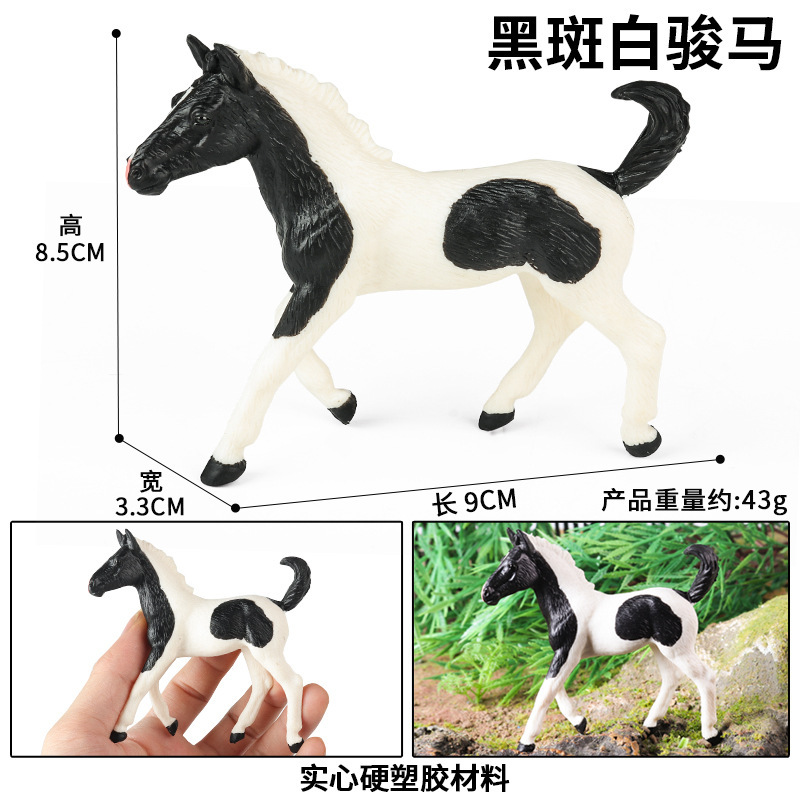 DDL39C colorato Cavallo bianco maculato nero