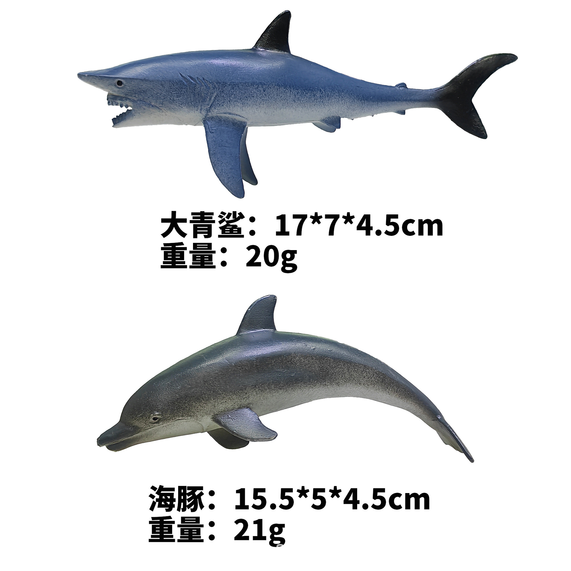 Shark + Dolphin