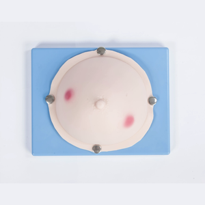 KyrenMed Breast Abscess Incision Practice Model Breast Examination Model Visual Inspection <strong>Palpation</strong> Mammary Abscess Examination - Product Image 3