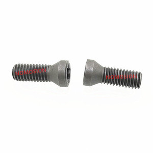 12.9 Grade CNC Tool Accessories M6 * 18-d8.<strong>7</strong>-t30 Insert Torx <strong>Screw</strong> - Product Image 4
