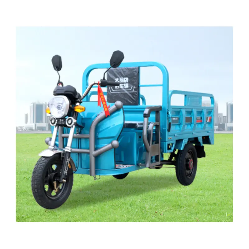 Sepeda roda tiga listrik murah dewasa Harga kargo laut terbesar di Tiongkok motor daya baterai rem warna asal